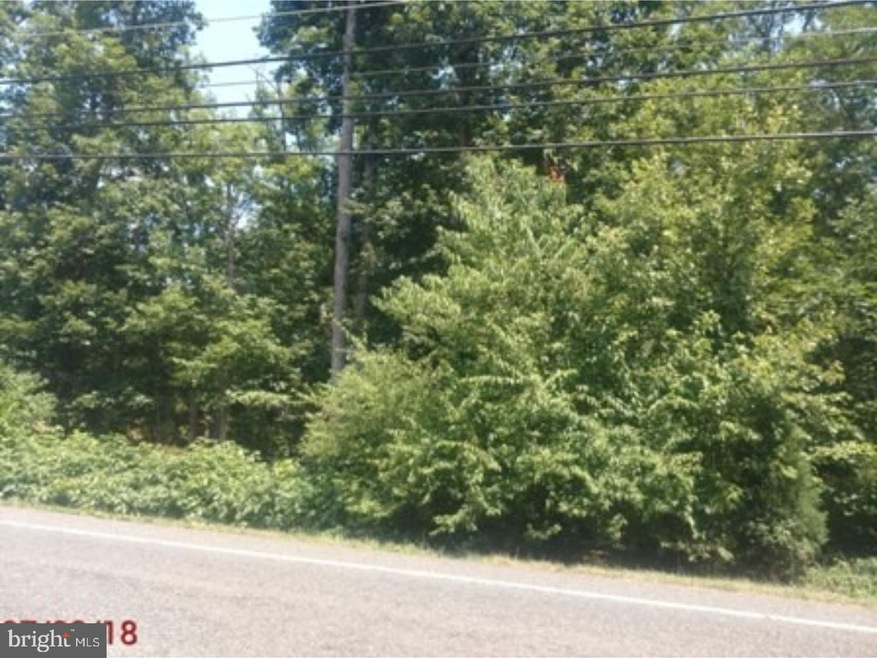 3011 Coles Mill Rd, Franklin, NJ 08322 - photo 1