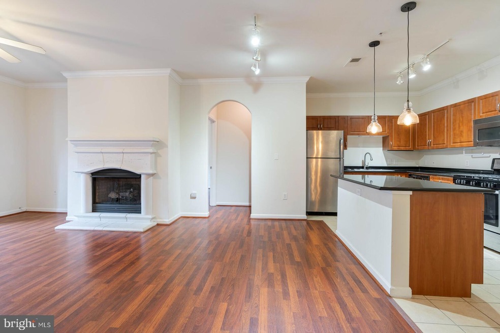 12909 Centre Park Cir unit 203, Oak Hill, VA 20171 - photo 1