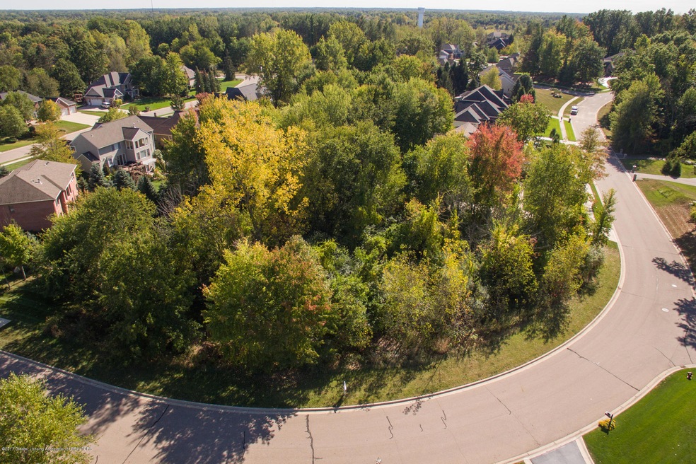 Photo-2