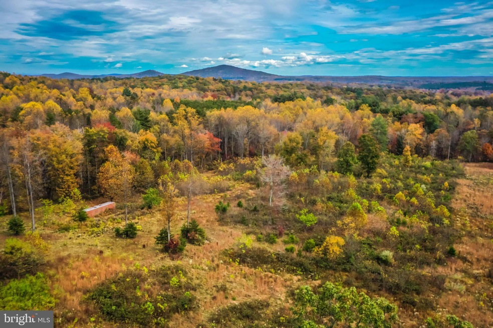 0 Whorton Hollow Rd, Castleton, VA 22716 - photo 1