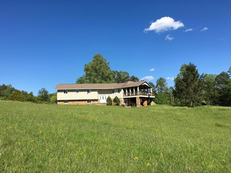 Front view meadow