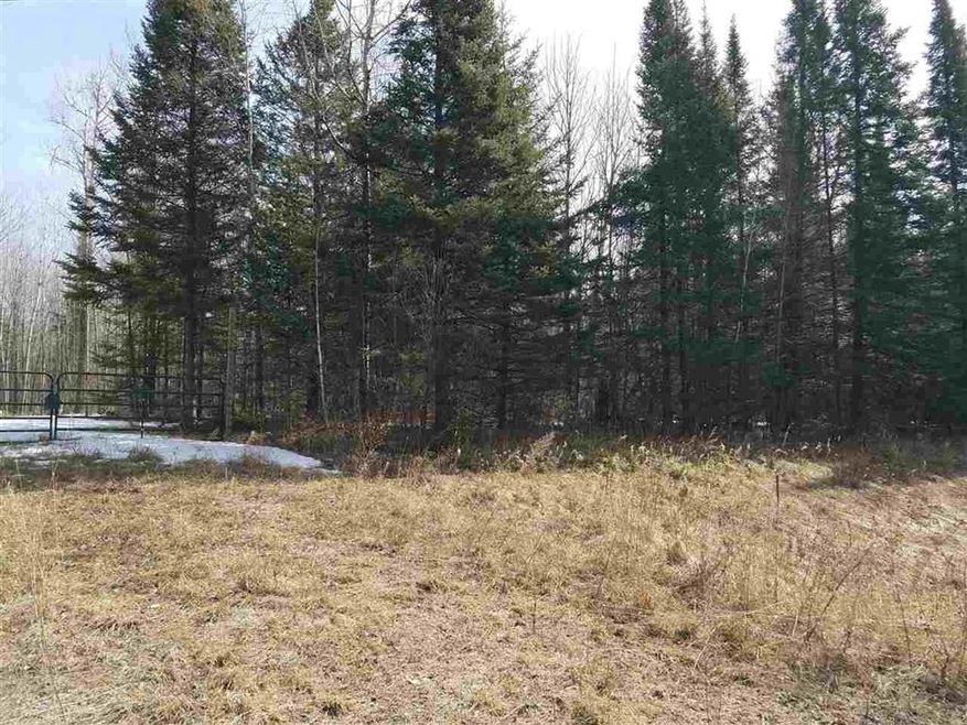 0 County Road T, Tomahawk, WI 54487 - photo 1