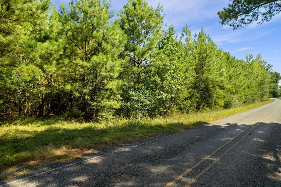 Gum_Swamp_Road-7