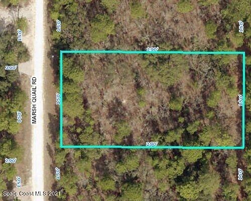 Marsh Quail Rd 2