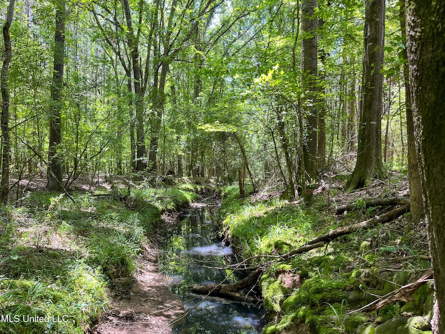 0 Chasewood Dr unit 4115884, Jackson, MS 39212 - photo 1