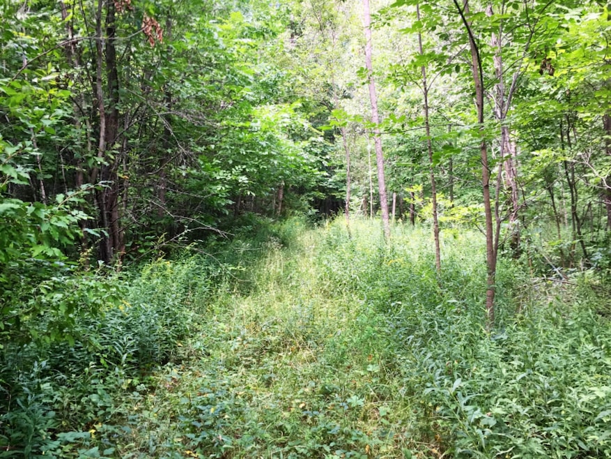 6941 Youngren Rd, Chikaming Township, MI - photo 1