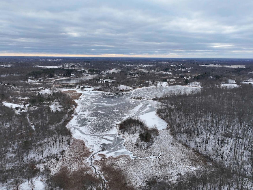 V/L 51A Mack Rd, Howell, MI 48855 - photo 1