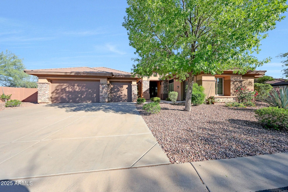 Mature Landscaping by Design