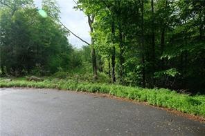 63 White Birch Rd, Pound Ridge, NY 10576 - photo 1