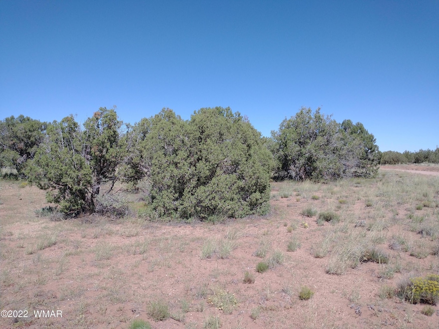 IMG_20220917_110856923