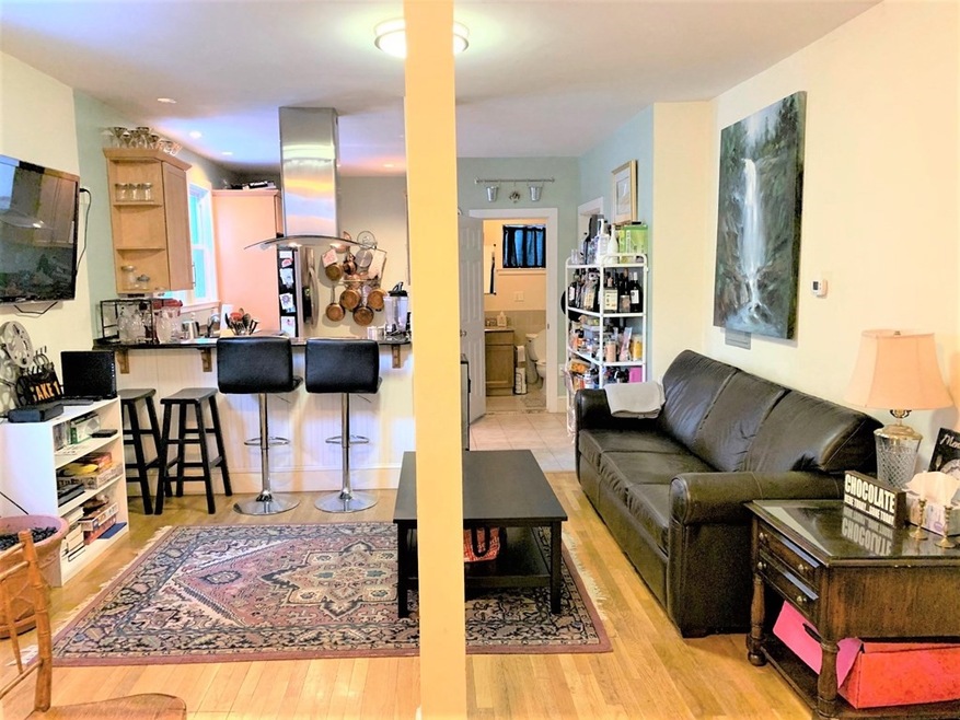 250 River St unit 1, Cambridge, MA 02139 - photo 1