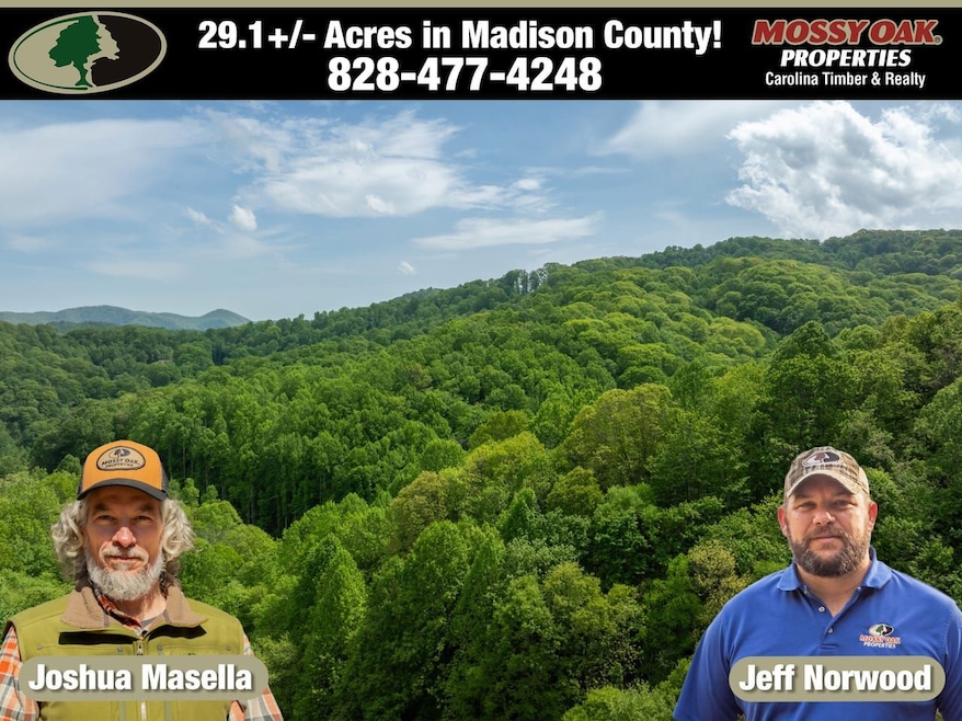 890 Panther Branch Rd, Hot Springs, NC 28743 - photo 1