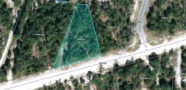 Lot 16 Sugar Hill Rd, Steinhatchee, FL 32359 - photo 1