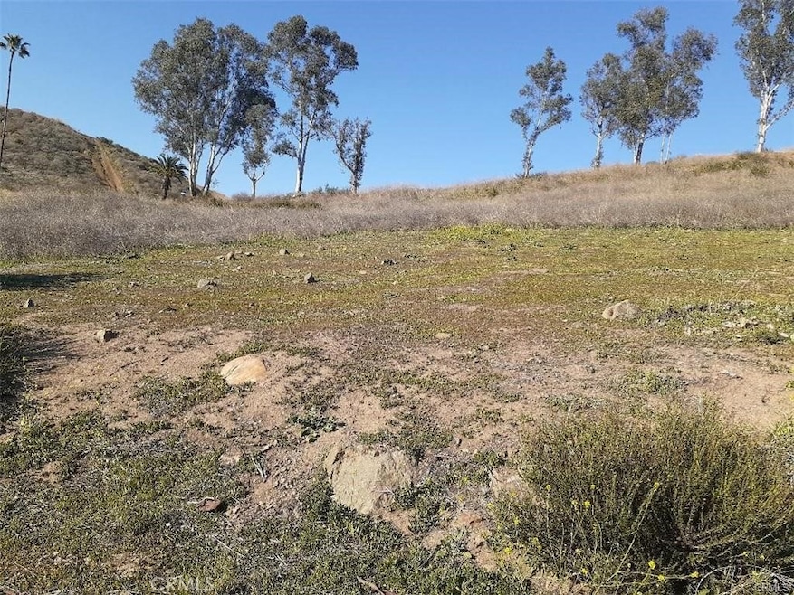 0 Lake View Ave unit SW25221395, Lake Elsinore, CA - photo 1