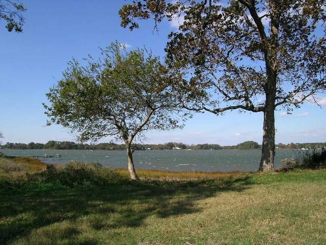 Main View