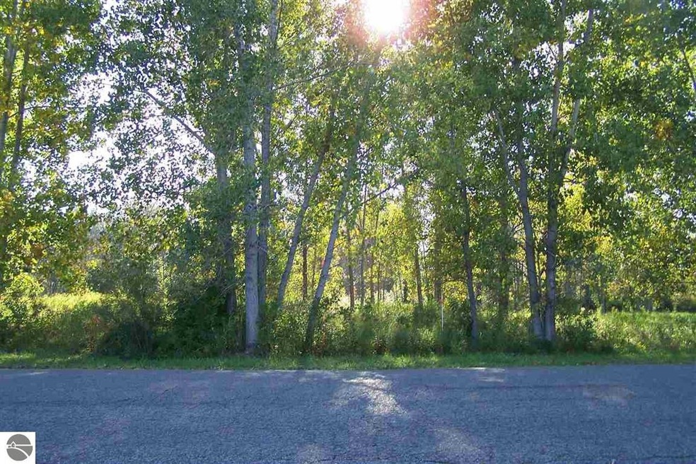 -00- Midshipman Dr, Au Gres, MI 48703 - photo 1