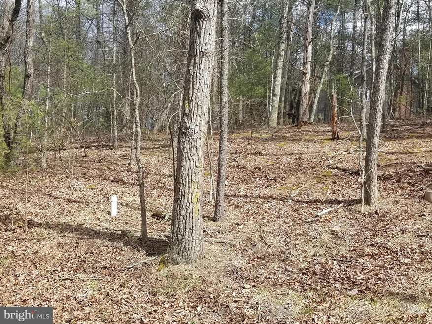 0 Palmer Rd unit 1003241395, Basye, VA 22810 - photo 1