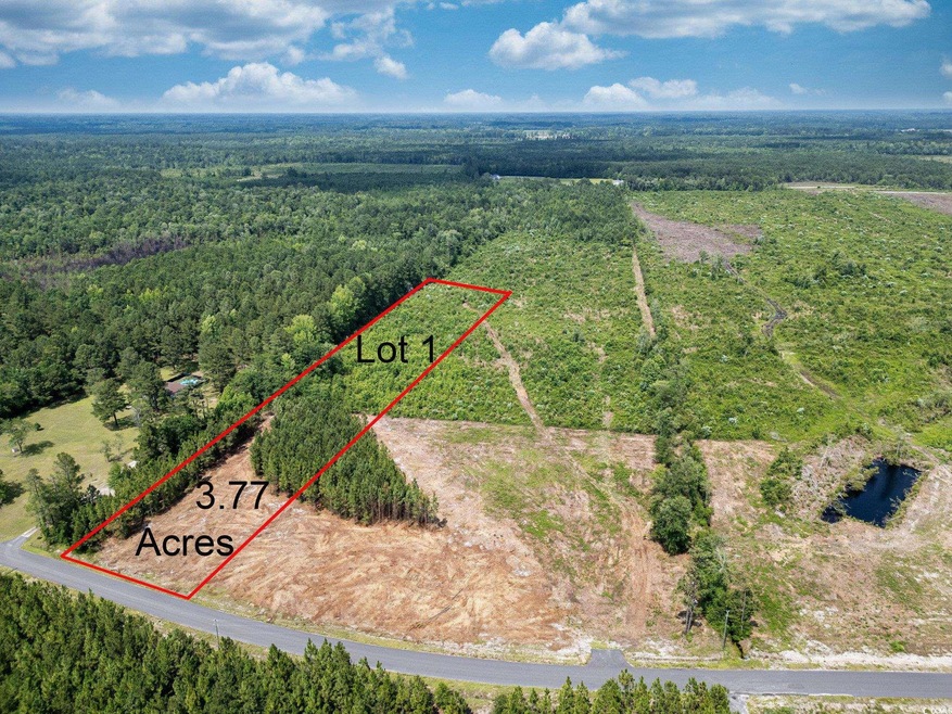 Aerial view of property's location featuring a heavily wooded area and property boundaries highlighted