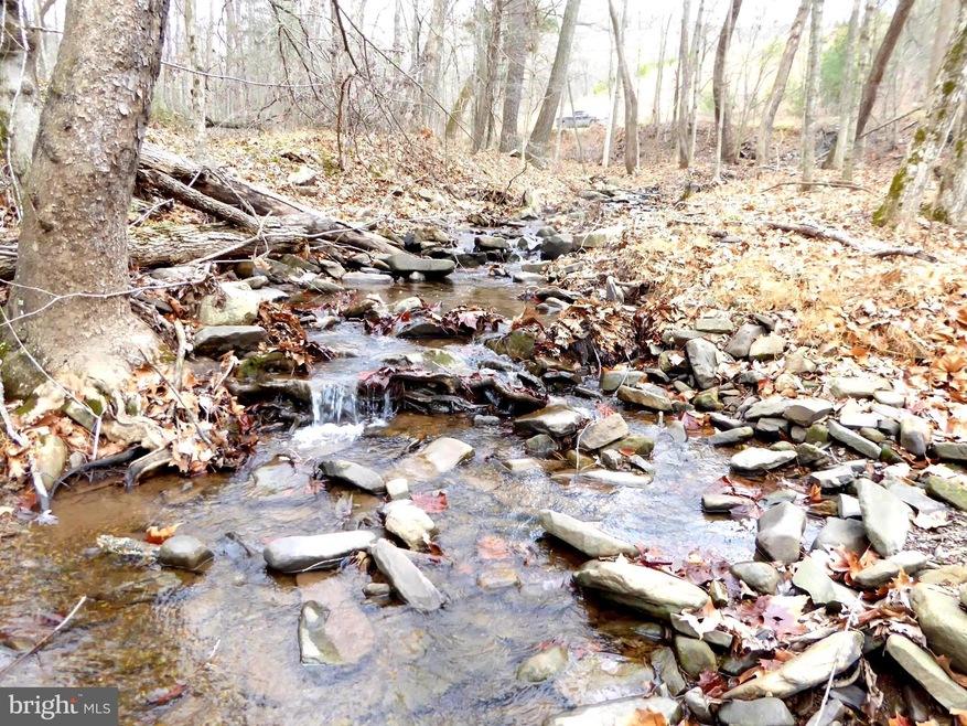 164 S Branch Rd, Moorefield, WV 26836 - photo 1