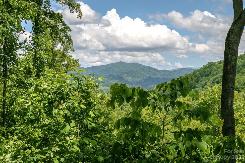 320 Creekside Way unit A-101, Burnsville, NC 28714 - photo 1