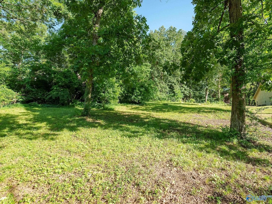 1602 Big Cove Rd, Huntsville, AL 35801 - photo 1