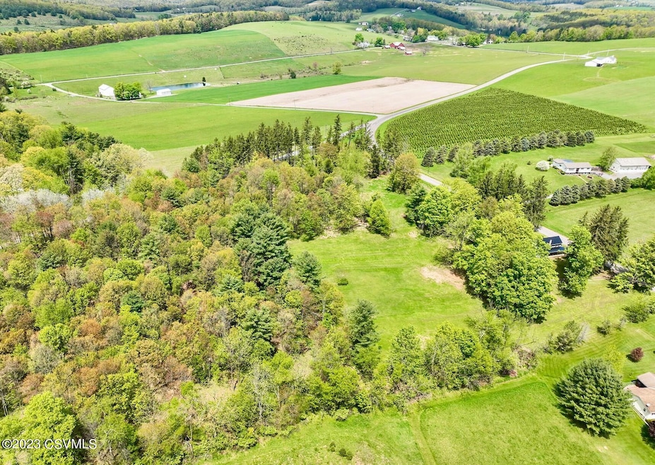 LOT 3 Ridge Rd, Benton, PA 17814 - photo 1