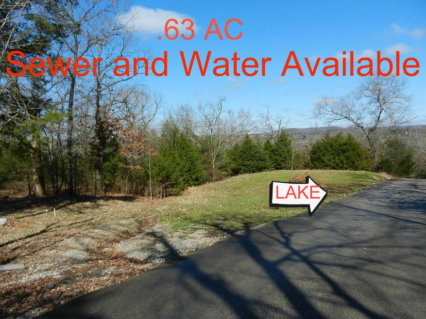 000 Cadillac Cove Rd, Ruth B Rural Township, MO 65686 - photo 1