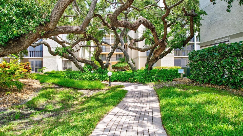 Entry Walk way