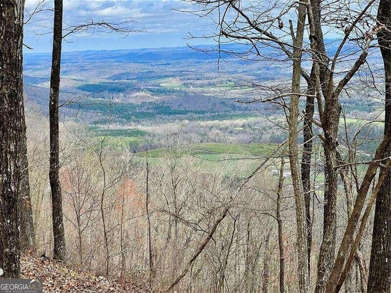 0 Valley View Ln unit 10274844, Menlo, GA 30731 - photo 1