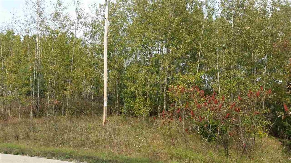 0 Richards Rd unit 50238784, Porterfield, WI 54159 - photo 1