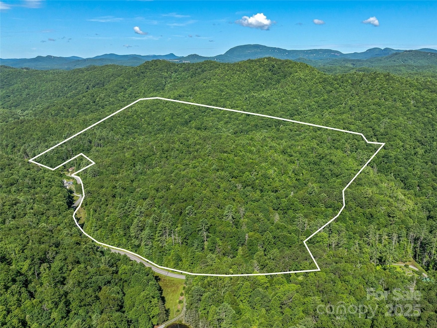 0 Frozen Creek Rd unit CAR4112325, Brevard, NC 28712 - photo 1