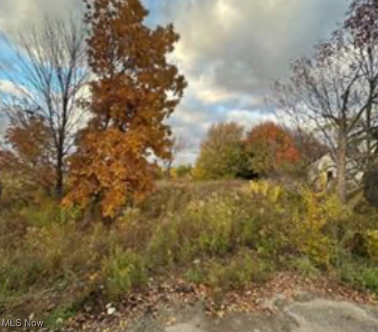 0 Sandy Ct unit 5110511, New Middletown, OH 44442 - photo 1