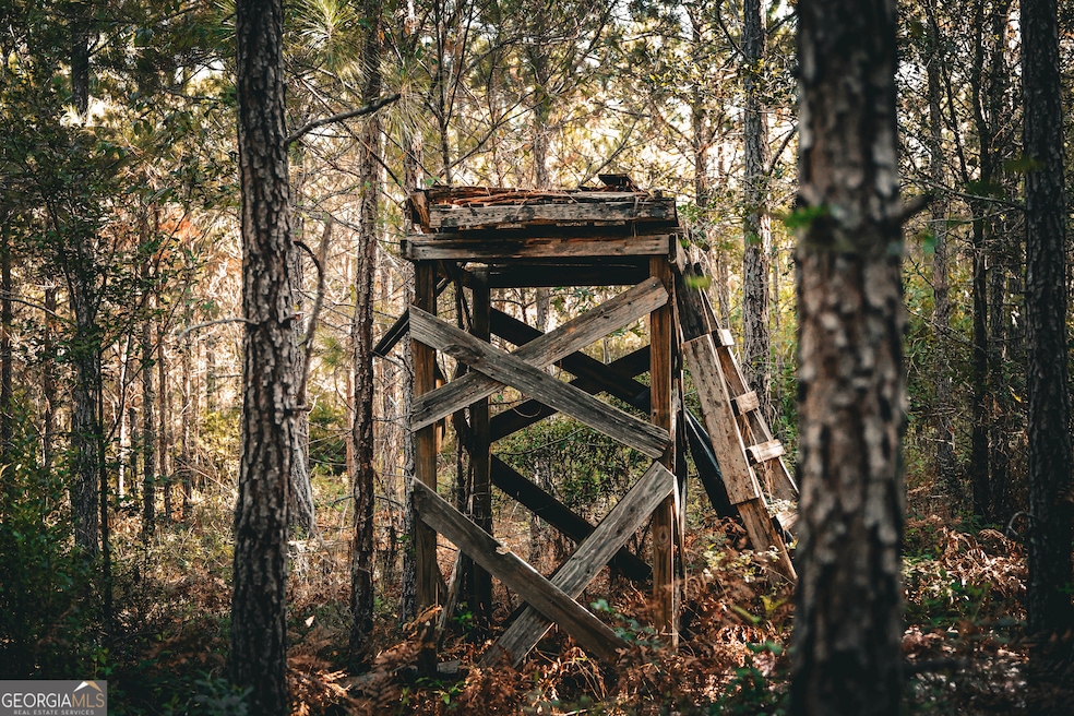 0 Camp Brooklyn Rd unit 10610288, Fitzgerald, GA 31750 - photo 1