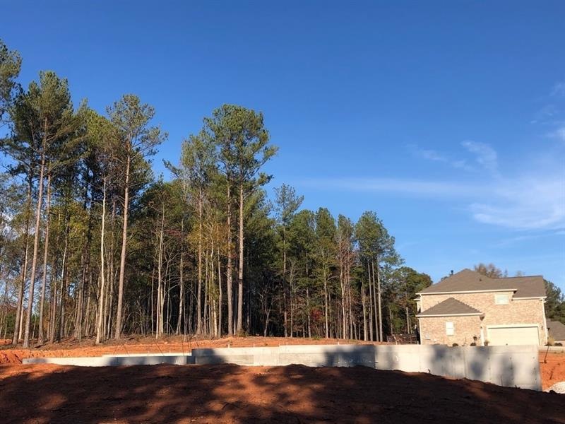 126 Kalsum Trail unit 21, Ellenwood, GA 30294 - photo 1