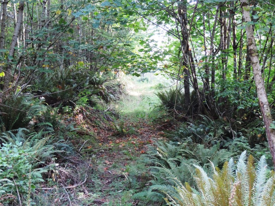 19801 212th St E, Orting, WA 98360 - photo 1