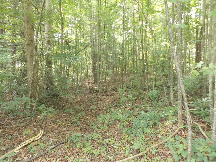 DSCF7073777