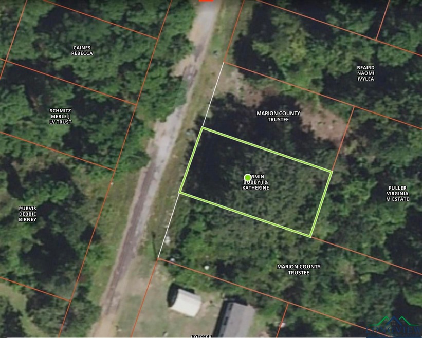 TBD Shawnee Dr, Jefferson, TX 75657 - photo 1