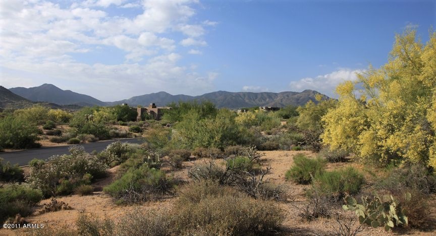 DESERT & CLOUDS