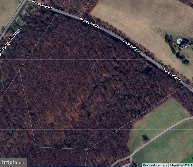 0 Barnesville Rd unit MDMC2209100, Boyds, MD 20841 - photo 1