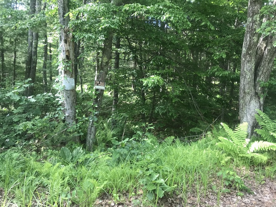 135 Mcbride Rd, Wales, MA 01081 - photo 1