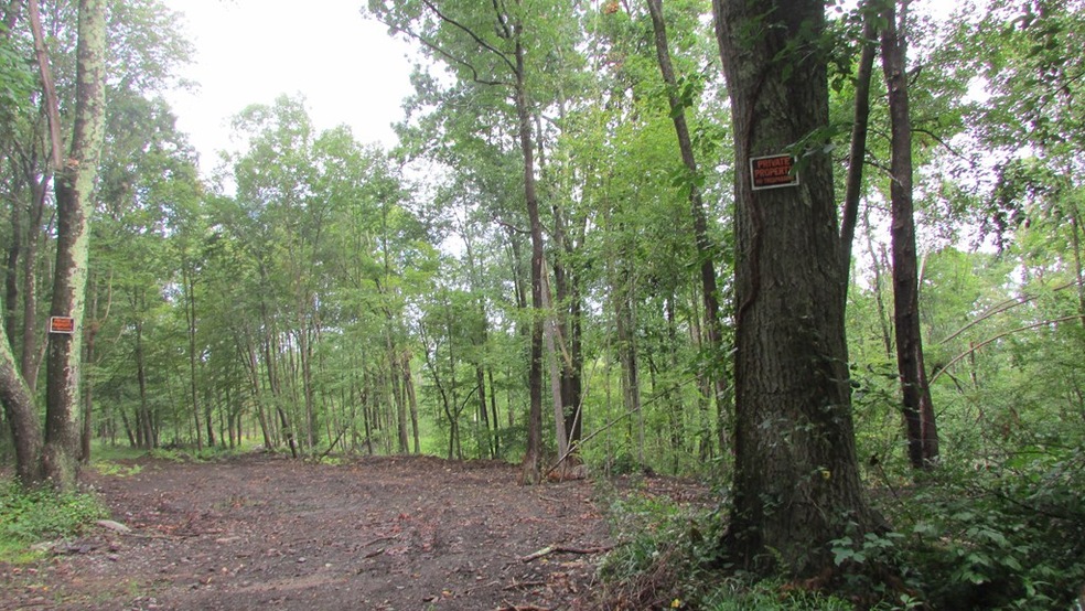 43 Handel Rd, Stafford, CT 06076 - photo 1