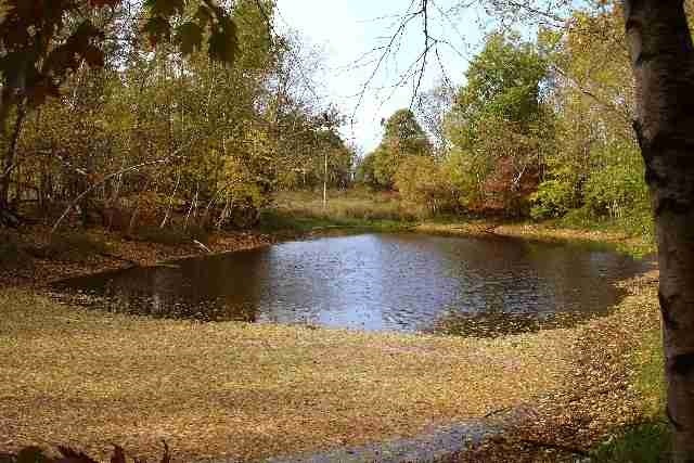 0 Crescent Rd unit 1757769, Byron, WI 54666 - photo 1