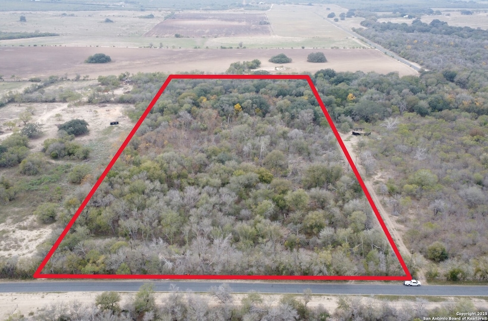 686 County Road 545, Hondo, TX 78861 - photo 1