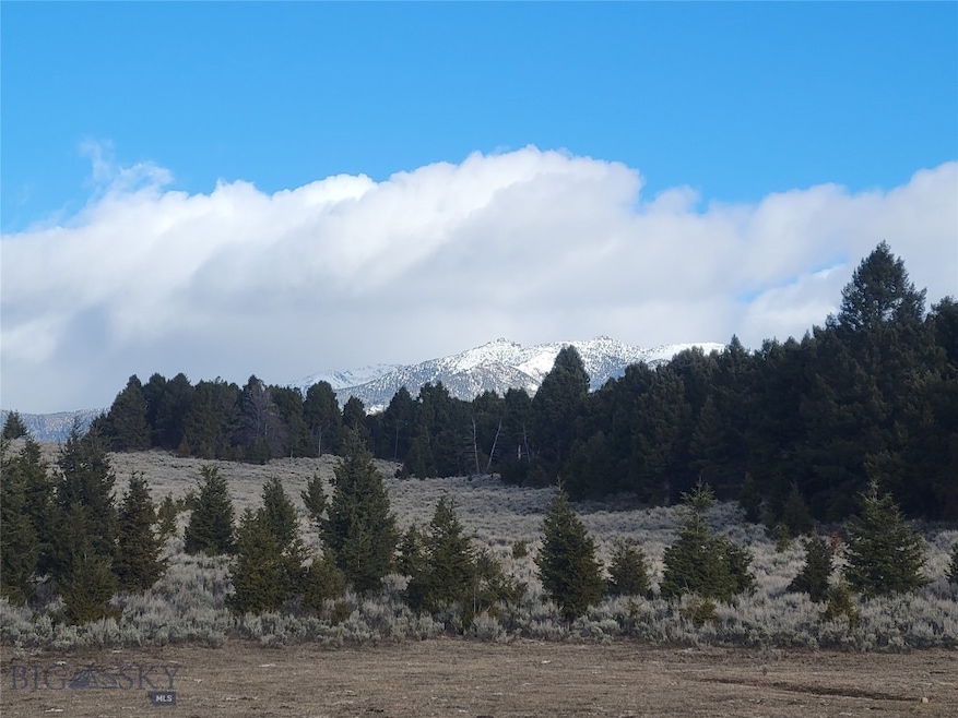 Sloping hillside and timber