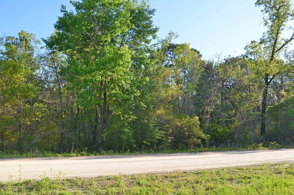 000 Fiddler's Way, Keaton Beach, FL 32348 - photo 1