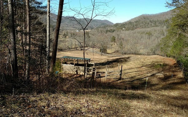 Main View