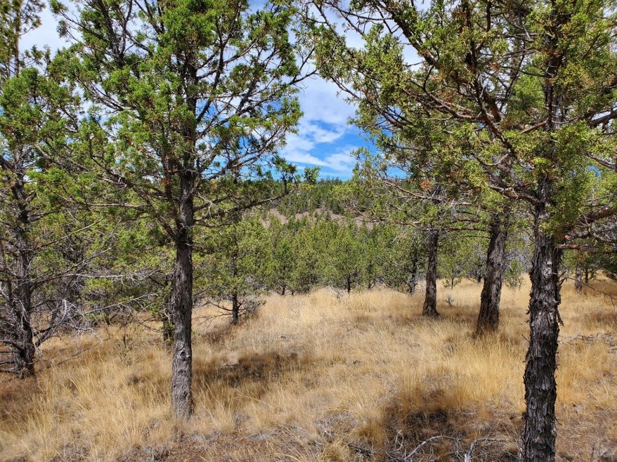 Hill Side view