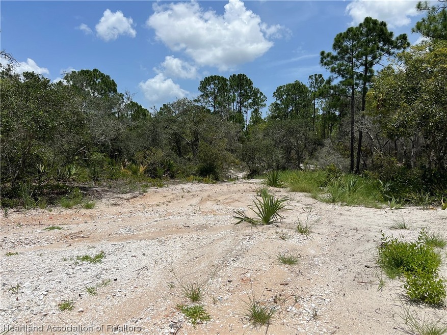 372 Jack Weisser Blvd, Lake Placid, FL 33852 - photo 1