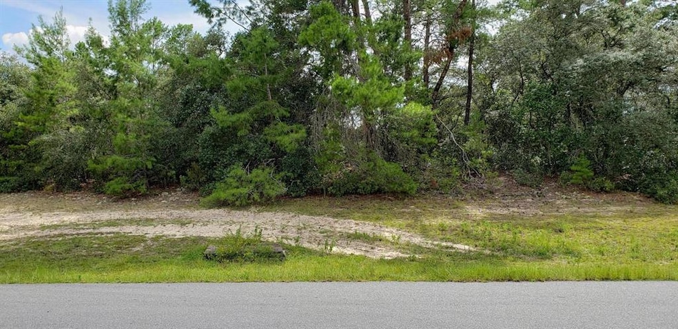 0 SW 22nd Terrace Rd unit OM558914, Ocala, FL 34473 - photo 1