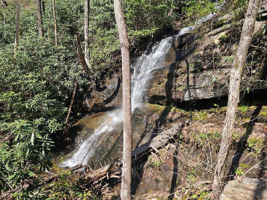 Main View